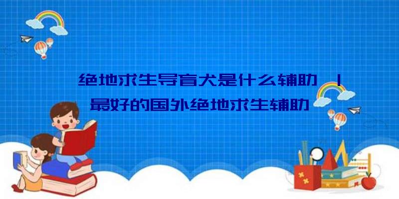 「绝地求生导盲犬是什么辅助」|最好的国外绝地求生辅助